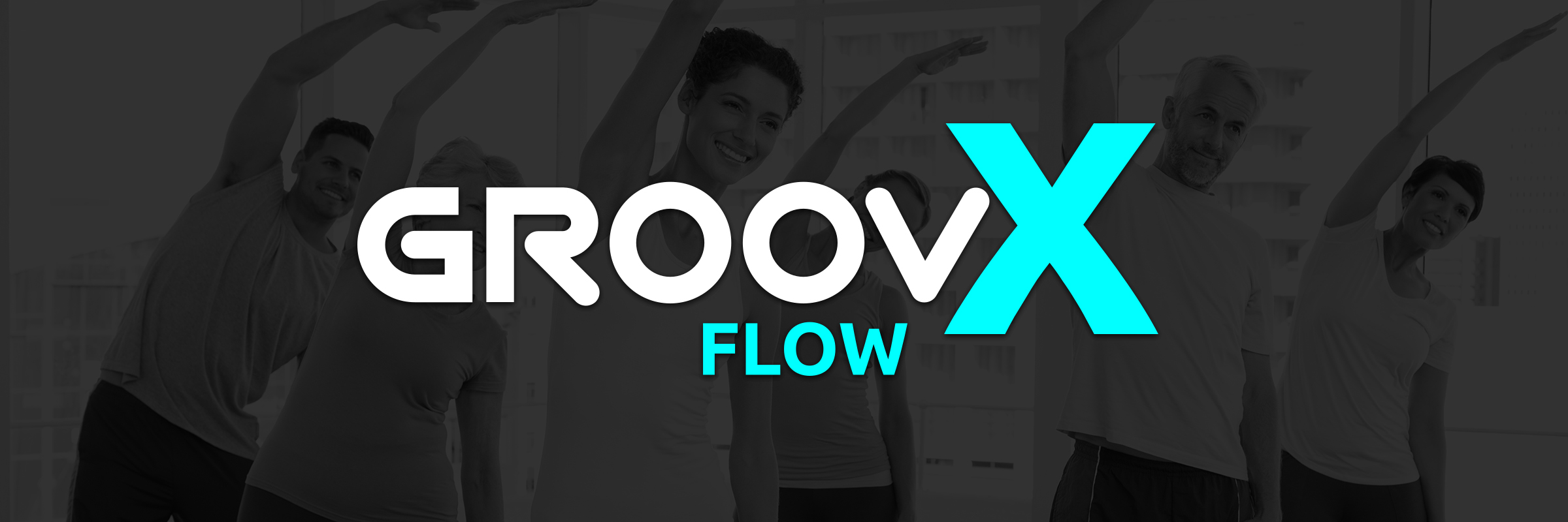 GroovX Flow